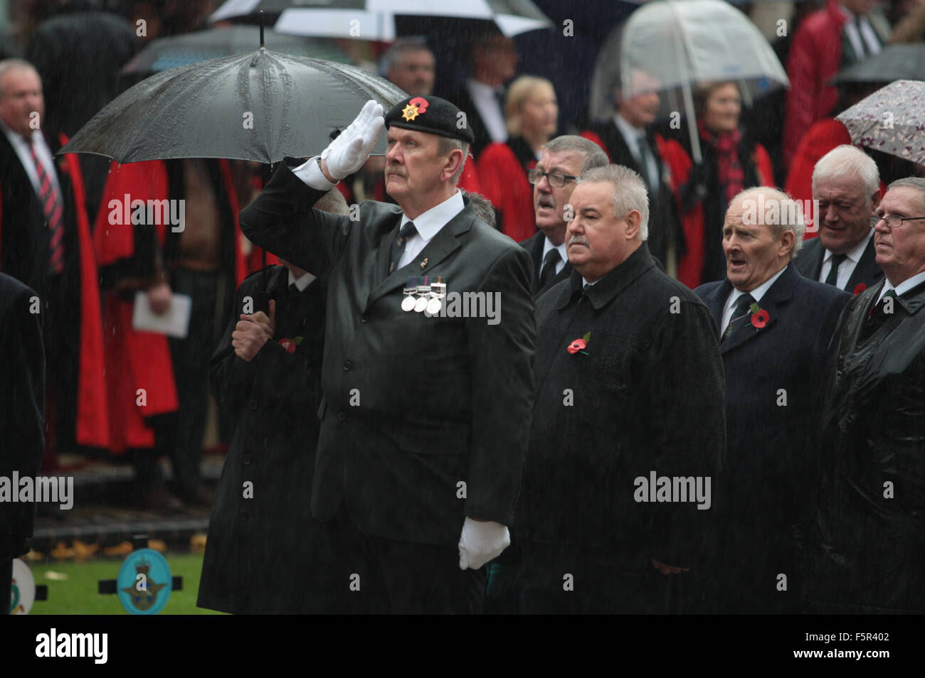 Belfast, Regno Unito. 8 novembre 2015. Un Veterano saluta presso il Cenotafio nella giornata nazionale del ricordo. Credito: Bonzo Alamy/Live News Foto Stock