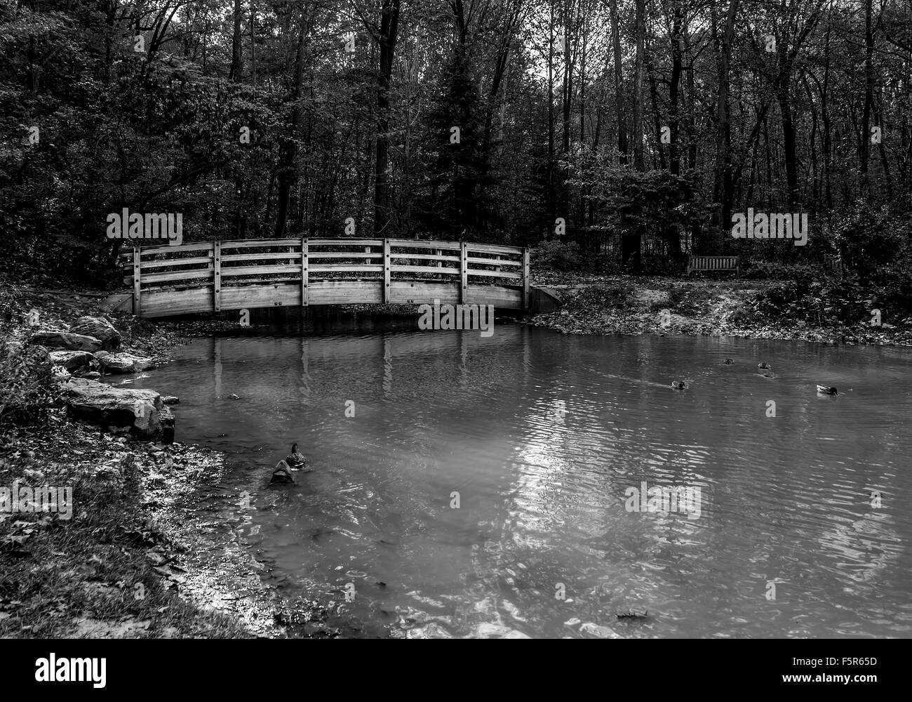 Molte immagini mi piace girare in una foto in bianco e nero quando le condizioni di scatto non favoriscono il colore. Molte volte il sole Foto Stock