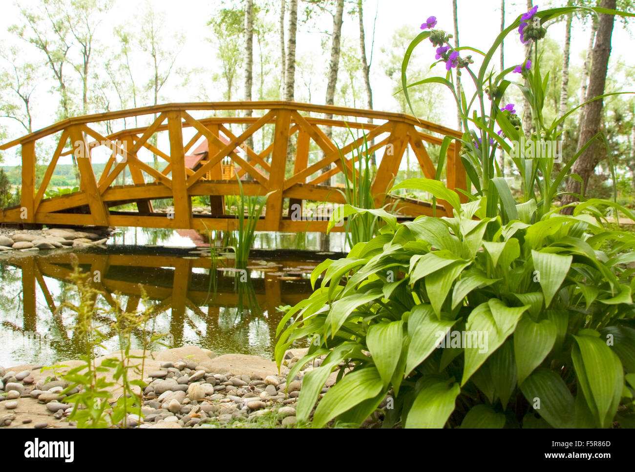 La palude di acqua dolce con ponte Foto Stock