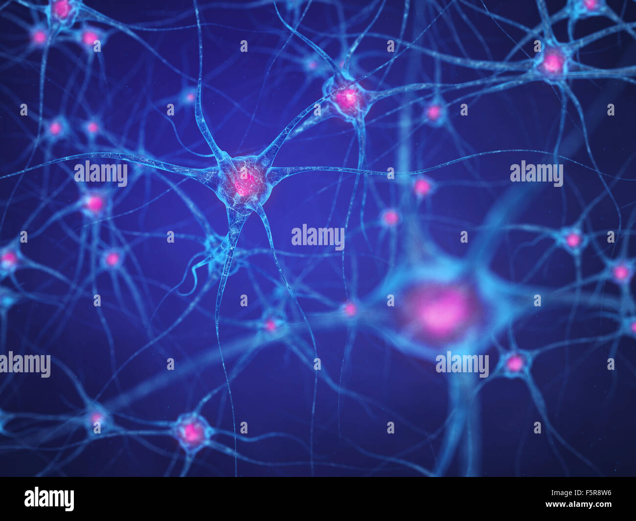 Rete neurale , cellule cerebrali , sistema nervoso umano Foto Stock