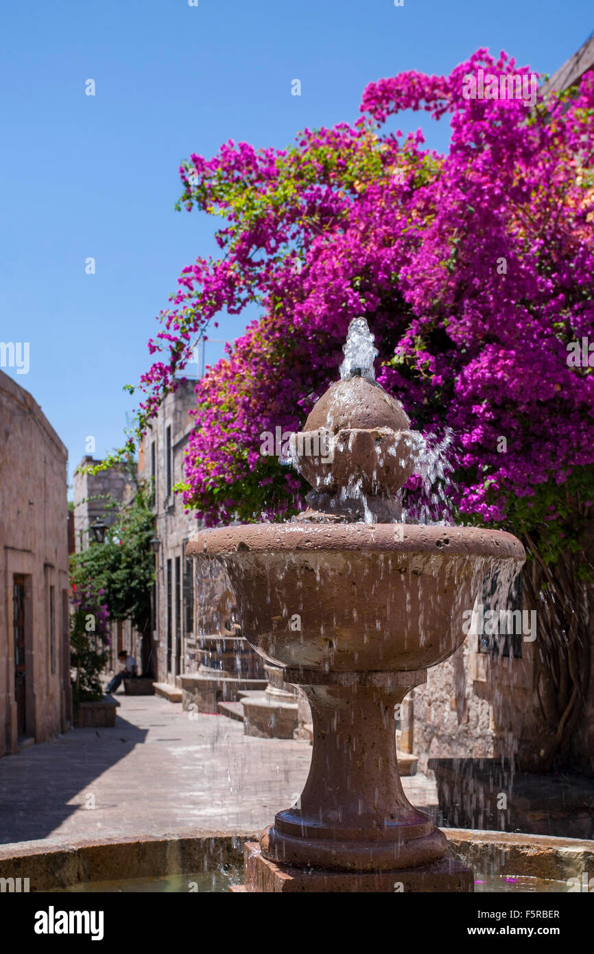 Una fontana e bouganville lungo il Callejon del romanticismo (Little Romance street) in Morelia, Michoacan, Messico. Foto Stock