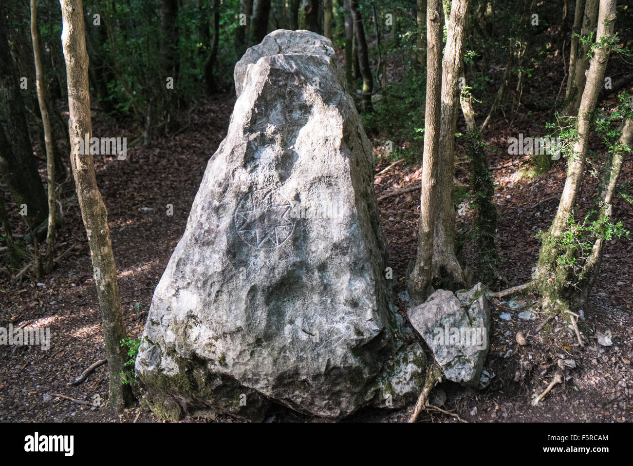 Nuovo simbolo di età graffiato nella roccia nel bosco in montagna Bugarach.Bugarach,New Age,pic de,picco,d,Aude,UFO,hippy,Francia del sud. Foto Stock
