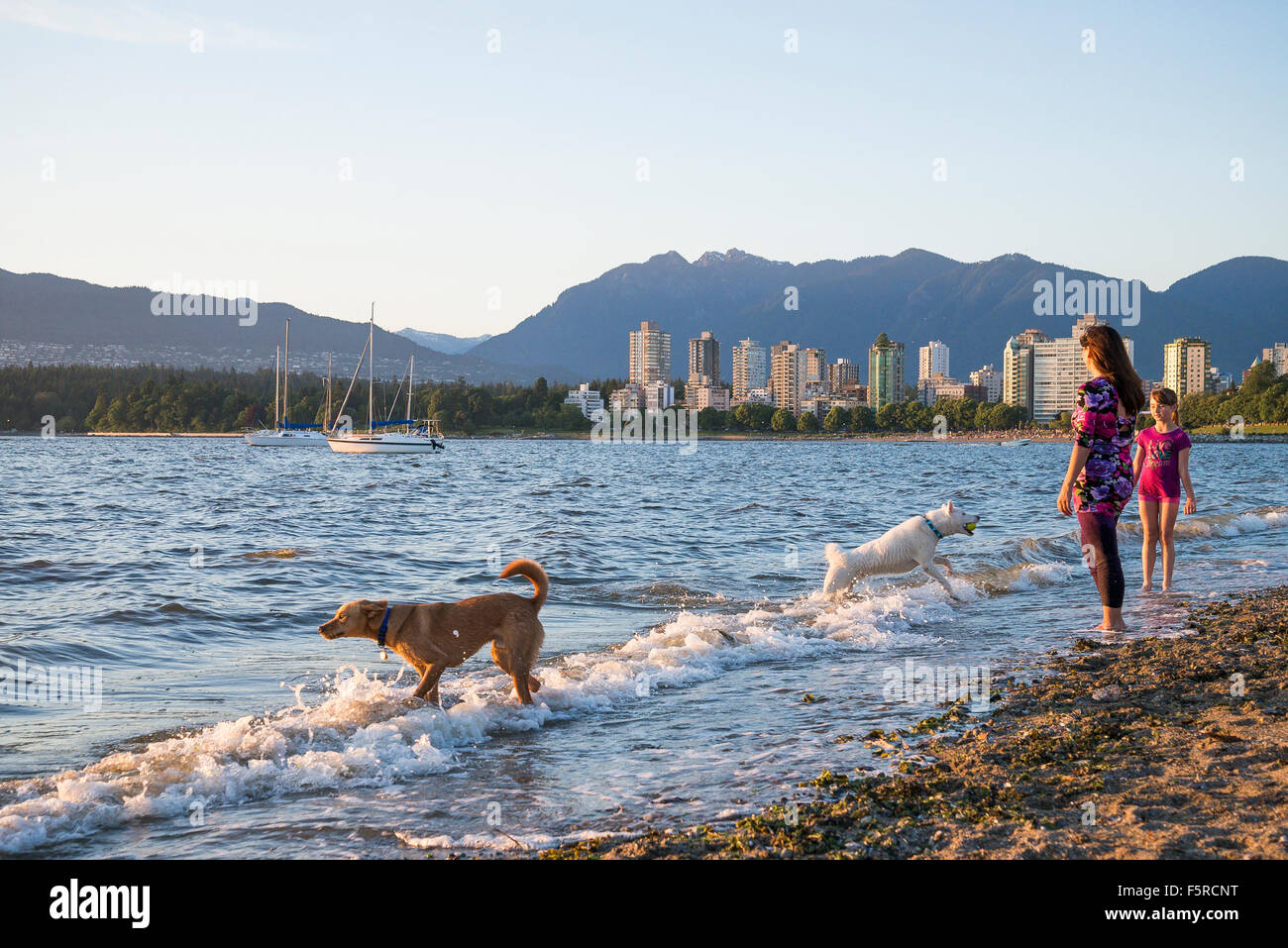 Hadden Park Beach un cane giuridico off-guinzaglio area, Vancouver, British Columbia, Canada Foto Stock