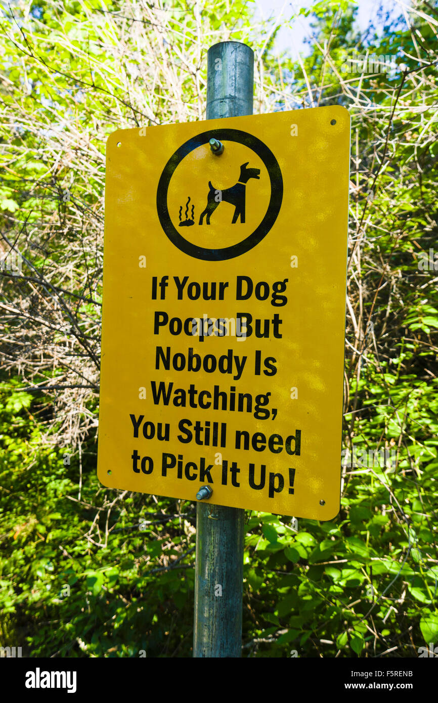 Segno "Se il vostro cane Poops ma nessuno lo guarda, è ancora necessario per prenderlo!' Foto Stock
