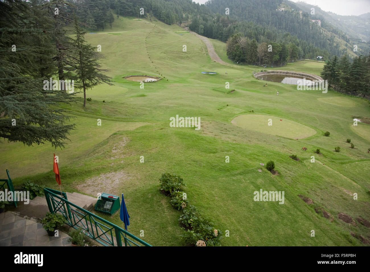 18 fori golf club, shimla, Himachal Pradesh, India, Asia Foto Stock