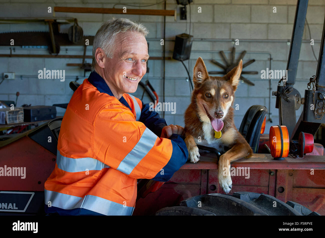 L'agricoltore e il suo cane nel suo capannone accanto al suo trattore Foto Stock