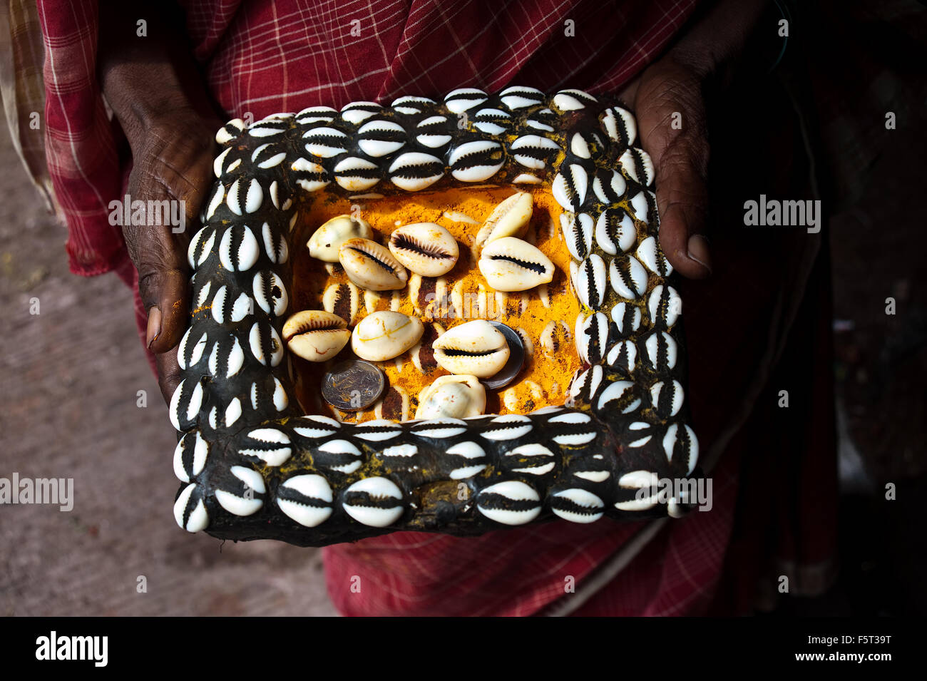 Conchiglie utilizzate per predire il futuro (India) Foto Stock