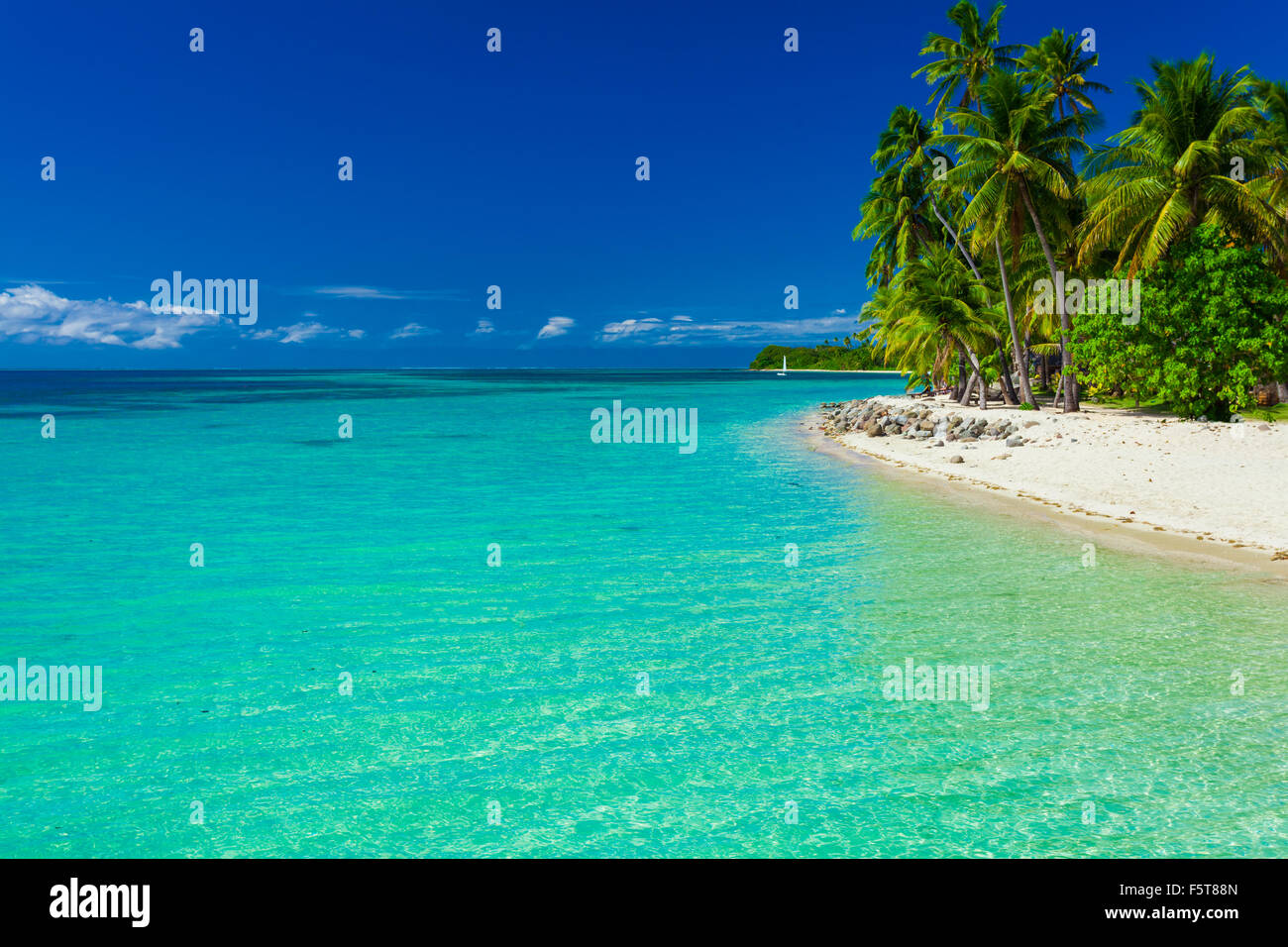Isola tropicale nelle isole Figi con spiaggia di sabbia fine e chiara laguna Foto Stock
