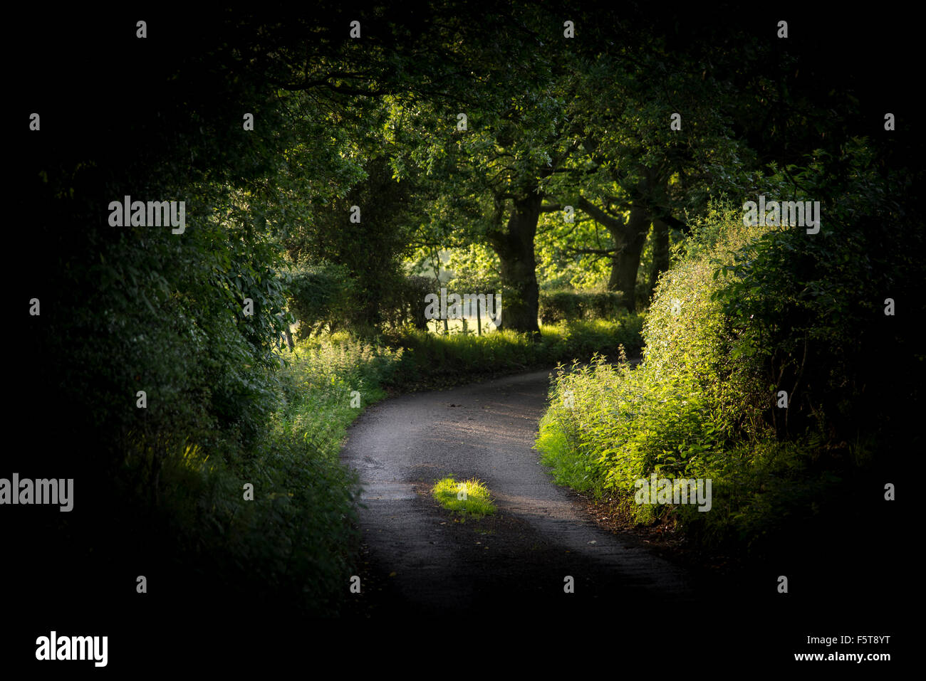 Piegare su un vicolo del paese in estate con la luce del sole sul verde degli alberi e siepi. Dark vignette aggiunto. Foto Stock