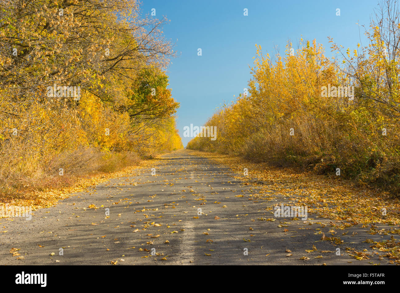 Abbandonato strada rurale in Ucraina centrale a caduta stagione Foto Stock