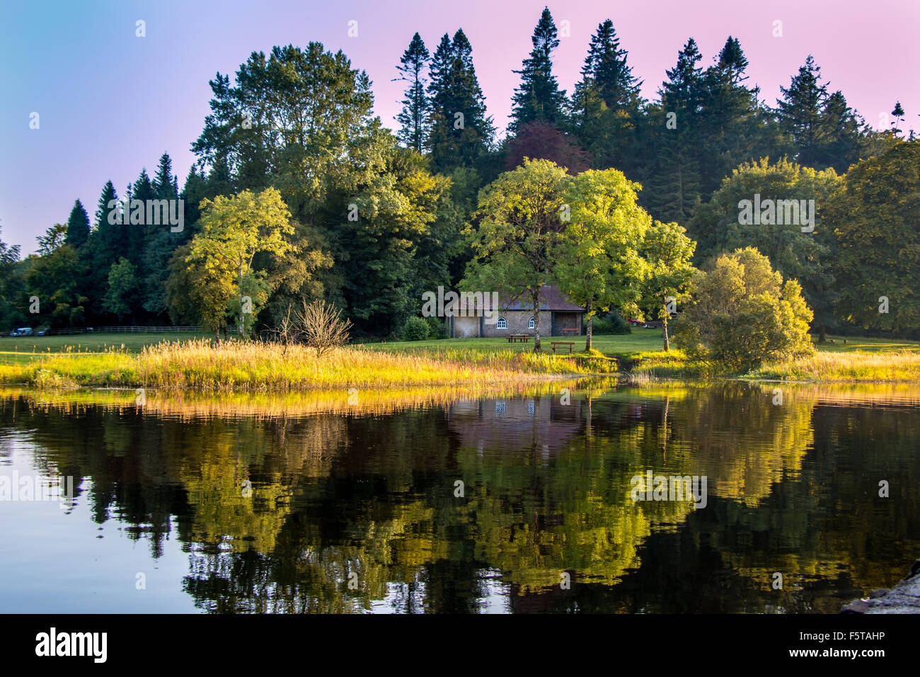 Piccola casa nel bosco. Foto Stock