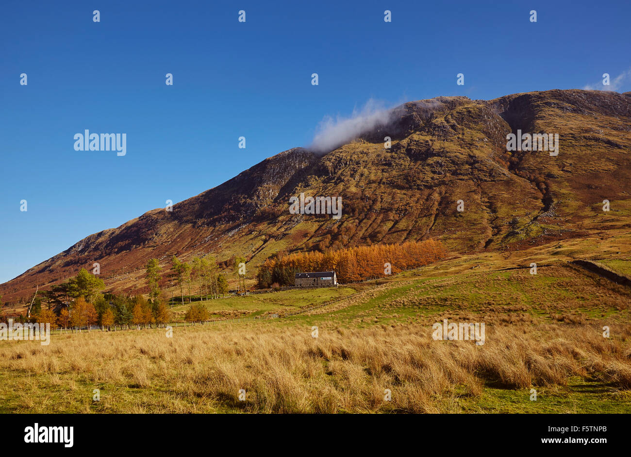 Le basse pendici del Ben Nevis, il britannico della più alta montagna,, vicino a Fort William, Grampian Mountains, Scozia, Gran Bretagna. Foto Stock
