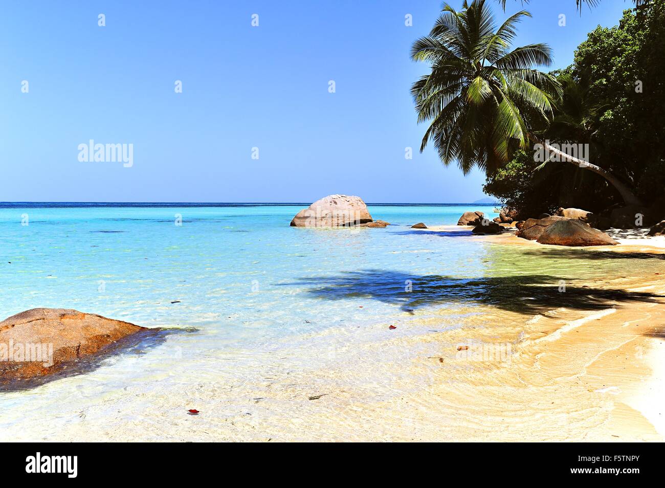 Spiaggia di Anse à la Mouche, Isola di Mahe, Seicelle Foto Stock