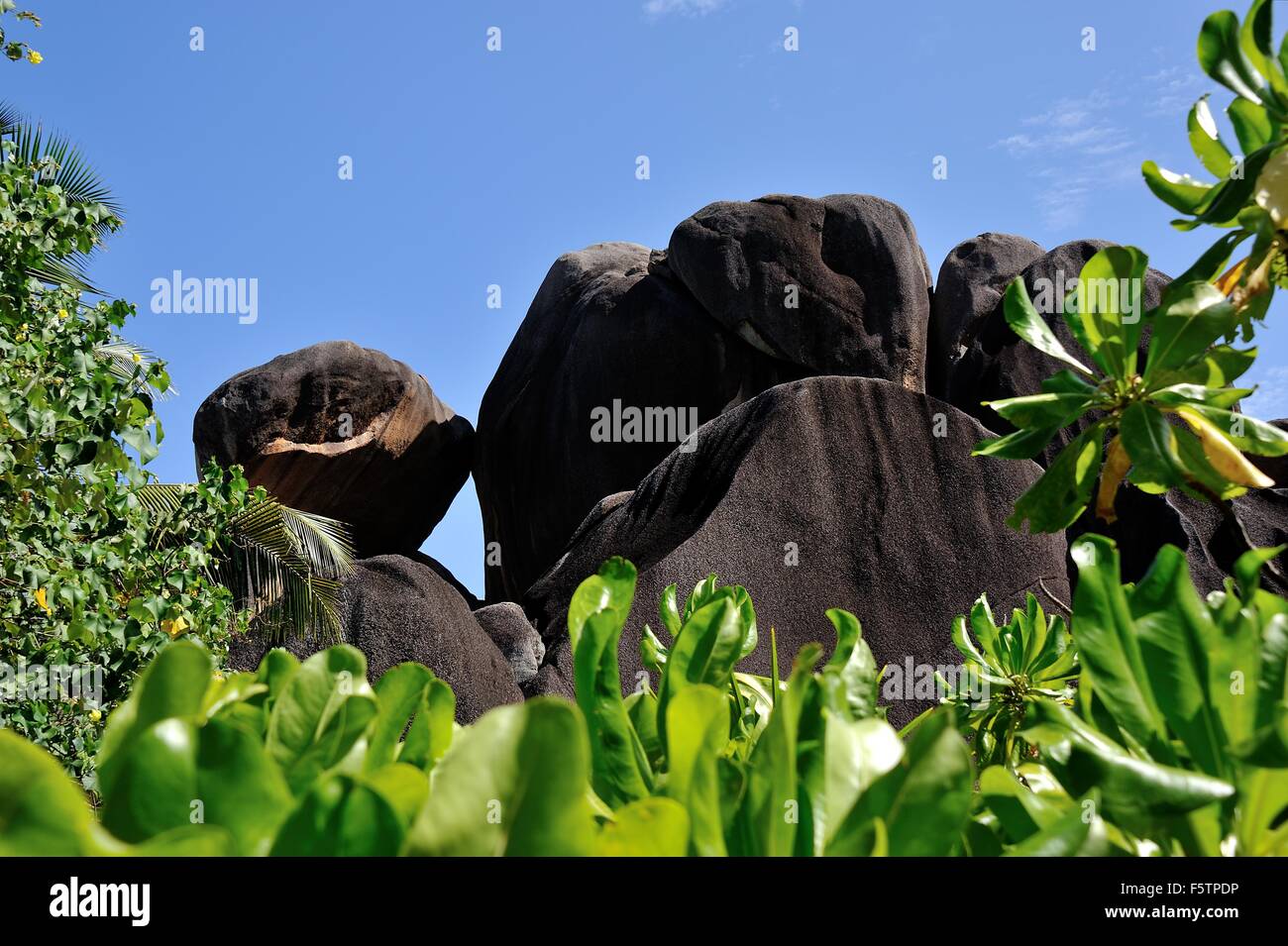 Spiaggia Source d' Argent, isola di La Digue, Seicelle Foto Stock