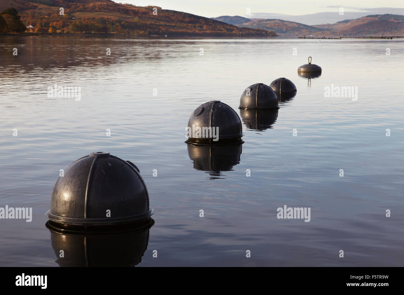 Galleggianti di sostegno la coltivazione di ostriche,, a Loch Fyne oyster farm, Cairndow, vicino a Inverary, su Loch Fyne, Argyle, Scotland, Regno Unito. Foto Stock