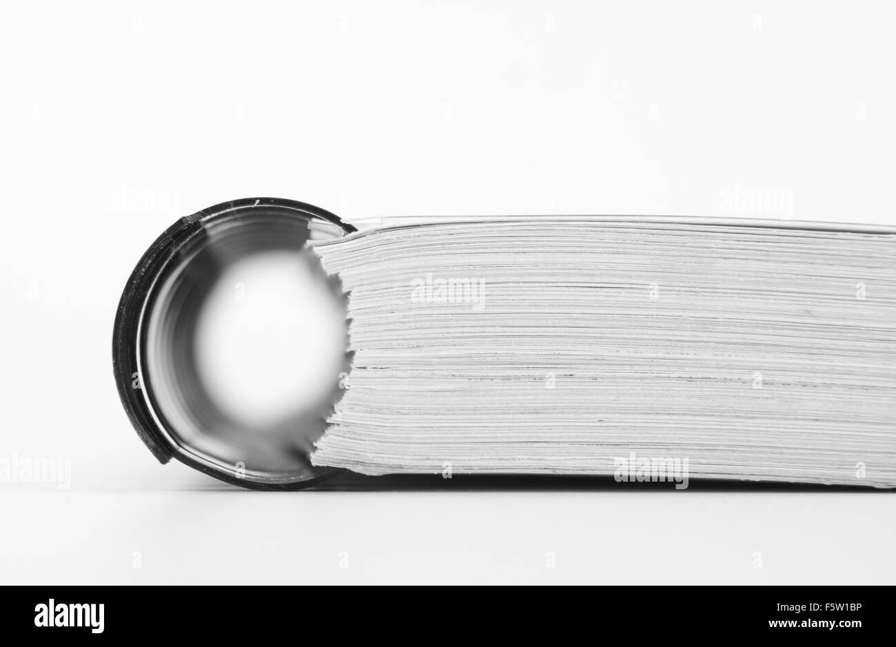 Close-up di chiuso catalogo aziendale con ring binder Foto Stock