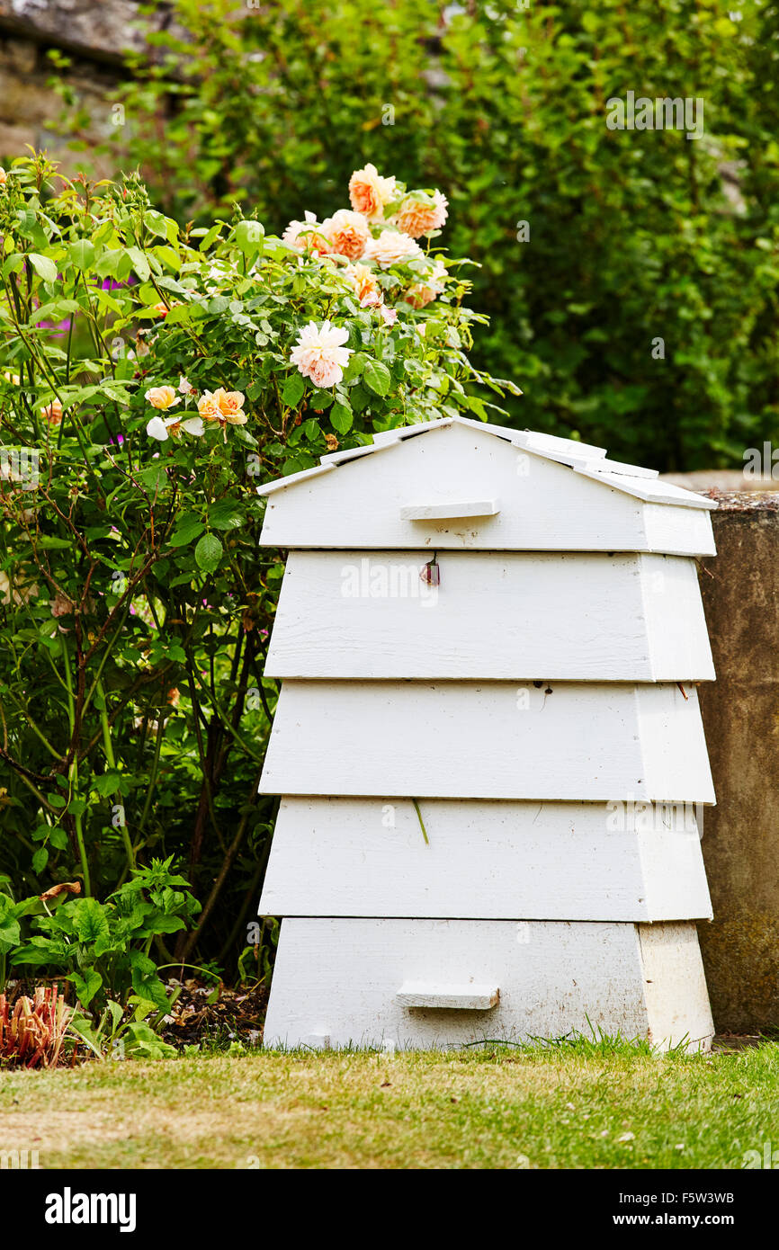 Legno bianco compost bin nei giardini di Easton walled gardens, Easton, Grantham, Lincolnshire, Inghilterra, Regno Unito. Foto Stock