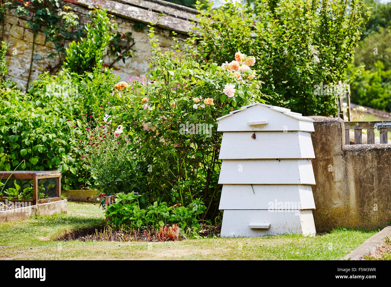 Legno bianco compost bin nei giardini di Easton walled gardens, Easton, Grantham, Lincolnshire, Inghilterra, Regno Unito. Foto Stock