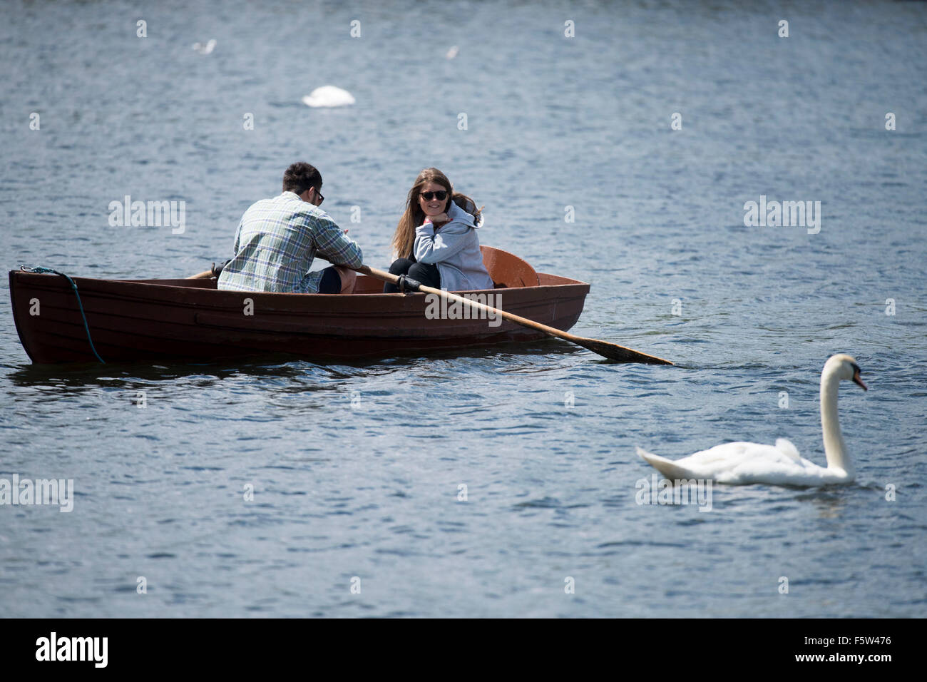 Un giovane in una barca a remi Roath Park Lake, Cardiff, Galles del Sud, durante le belle giornate di sole. Foto Stock