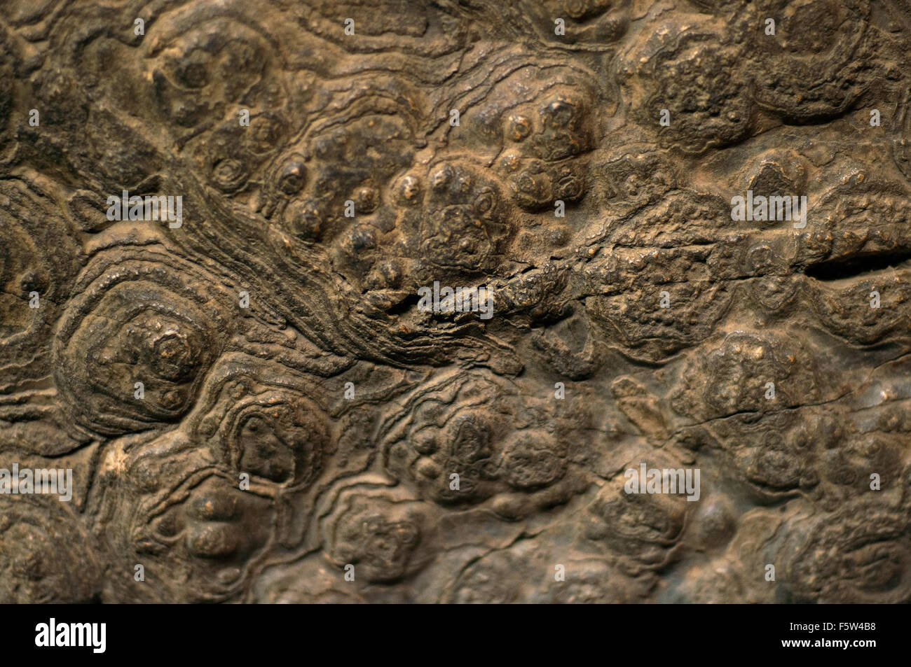 Museo nazionale di gaborone immagini e fotografie stock ad alta risoluzione - Alamy