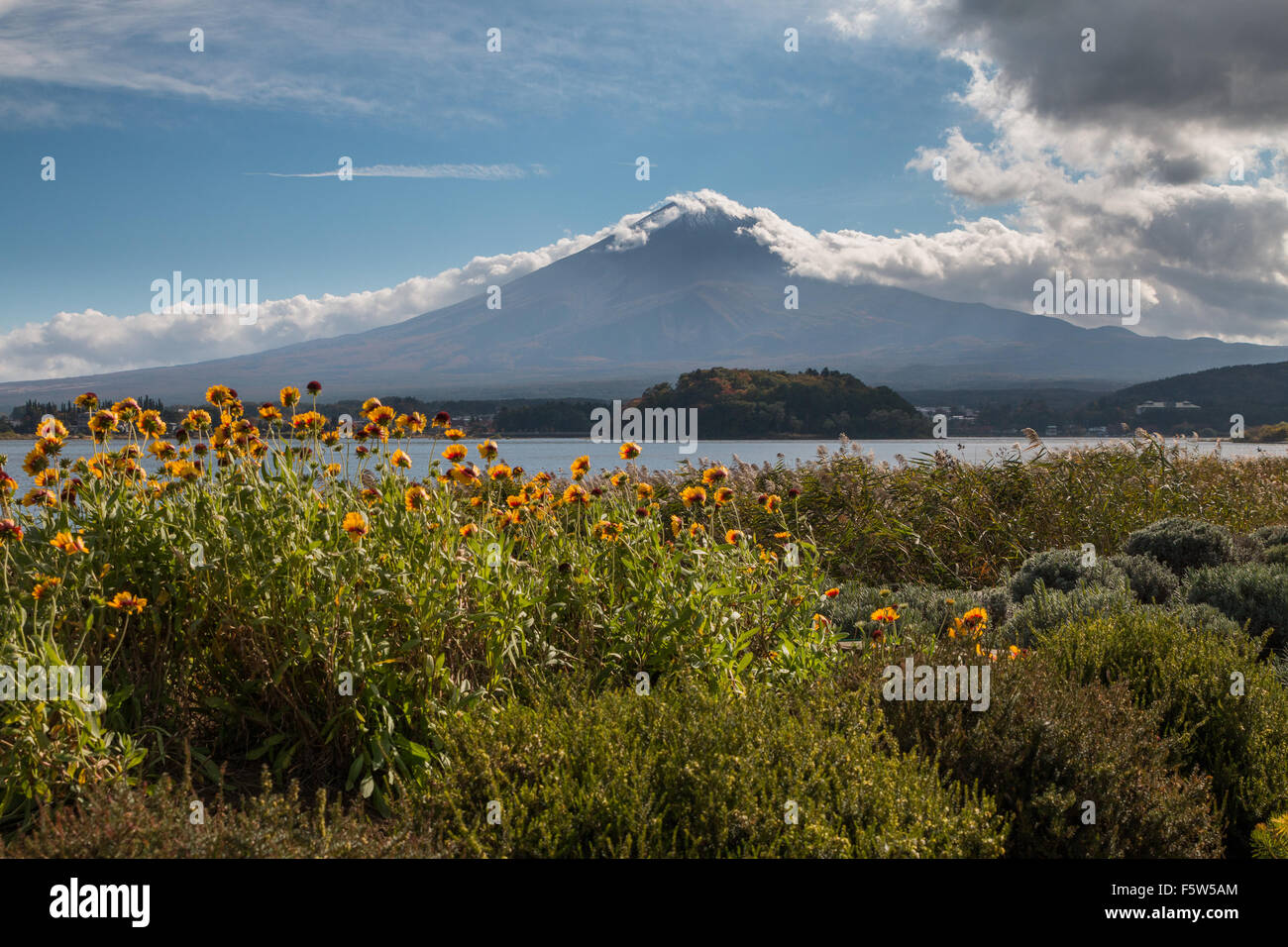 Il monte Fuji visto dal lago Kawaguchiko Foto Stock