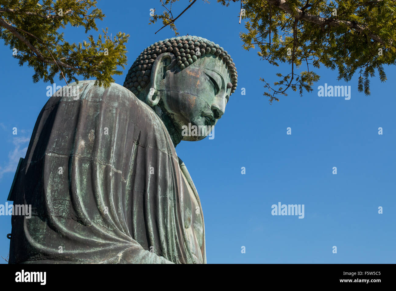 Kotokuin (grande Buddha di Kamakura) Foto Stock