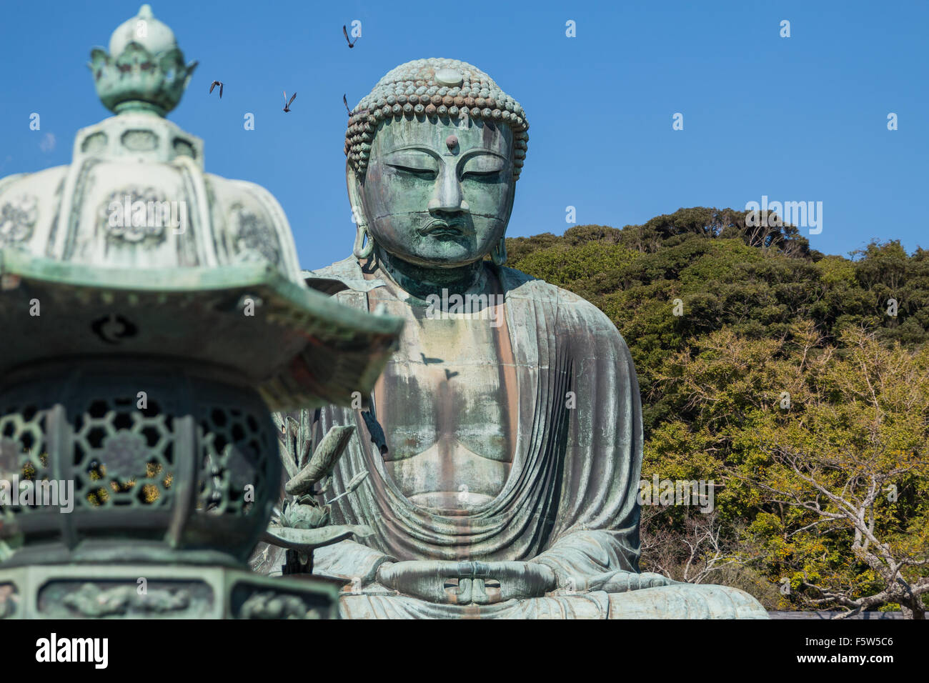 Kotokuin (grande Buddha di Kamakura) Foto Stock
