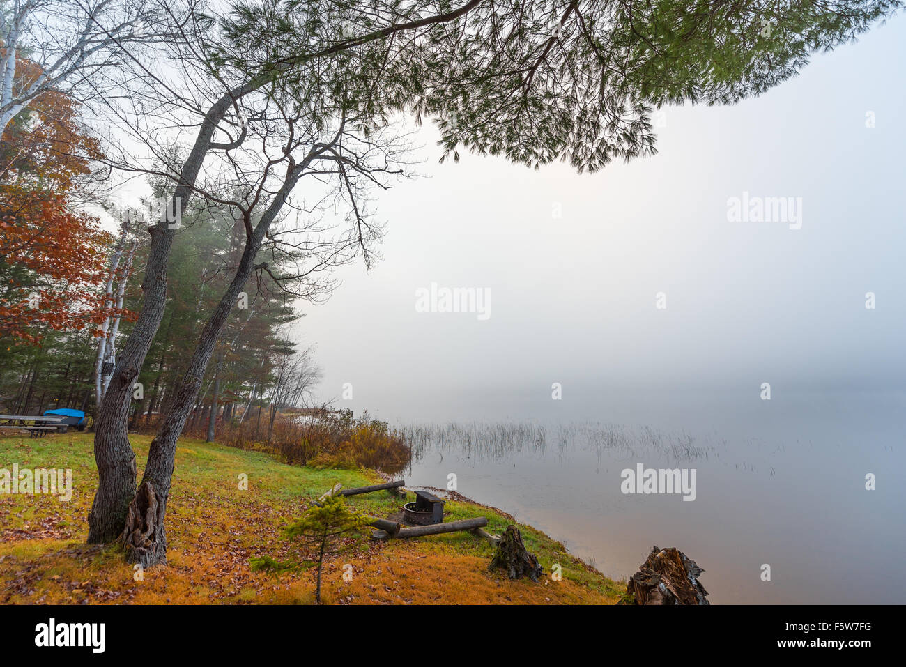 Nebbia mattutina in un lago Ontario del nord. Foto Stock