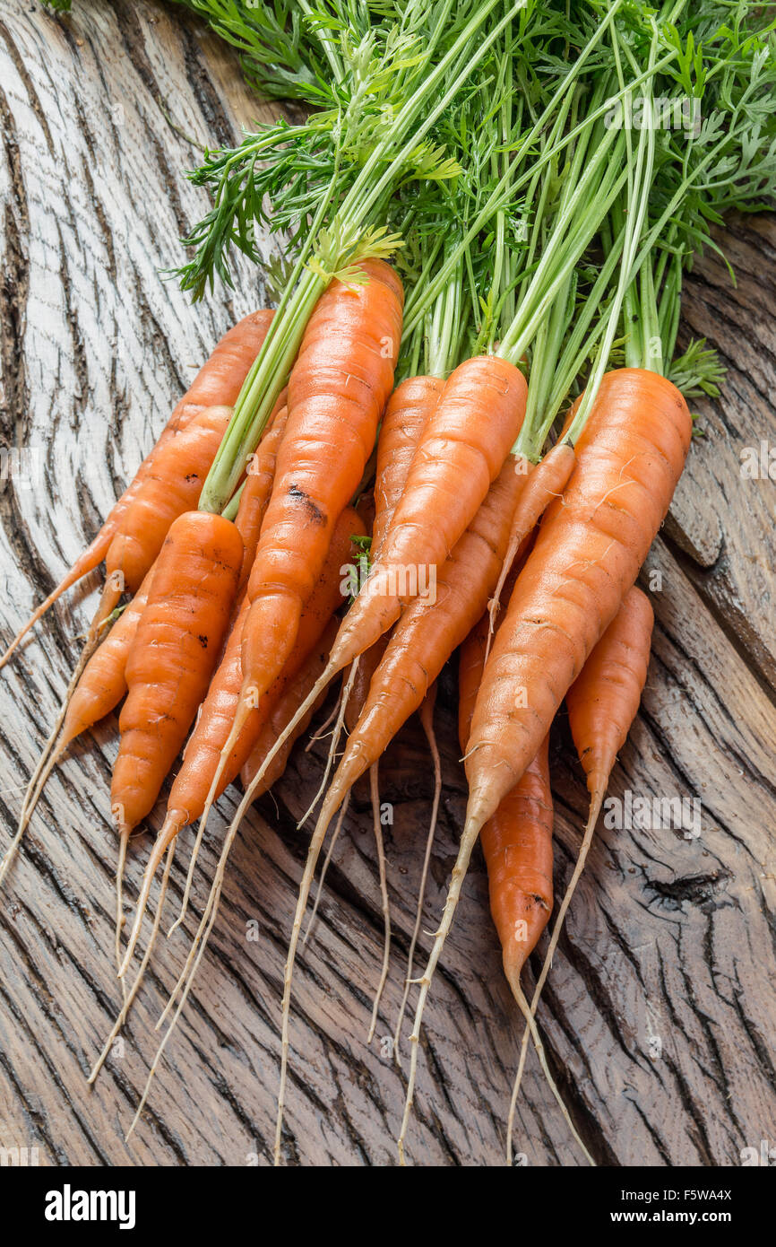 Le carote con verdi sul vecchio tavolo in legno. Foto Stock