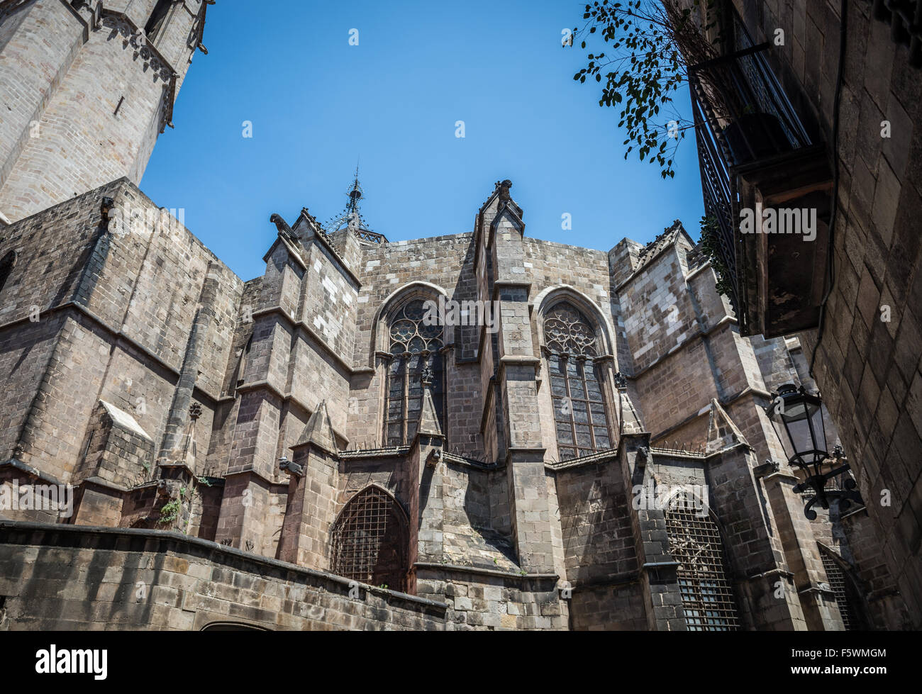 La Cattedrale gotica di Santa Croce e di Santa Eulalia chiamato la cattedrale di Barcellona, Barcellona, Spagna Foto Stock