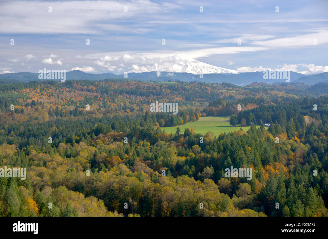 Mt. Il cofano e le variazioni stagionali dal punto di vista Jonsrud Oregon sabbia. Foto Stock