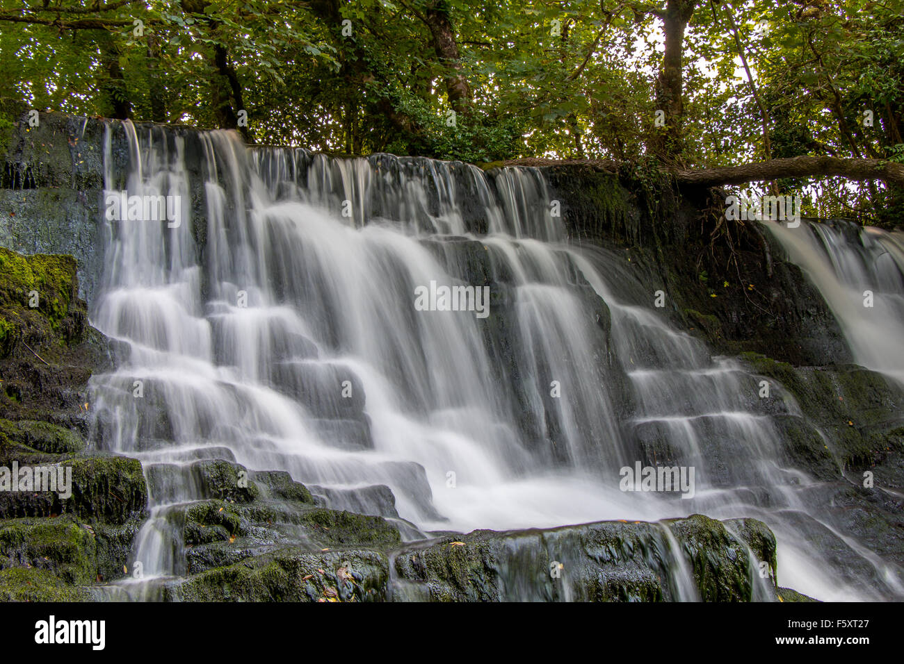 La cascata nel grazioso Leitrim, Irlanda. Foto Stock