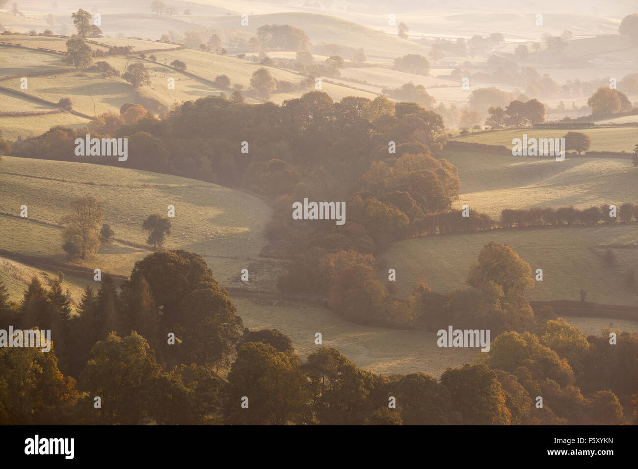 Le colline e la campagna della Burton In Lonsdale, dalla cicatrice Newbiggin, Burton in Lonsdale, Cumbria, Regno Unito Foto Stock
