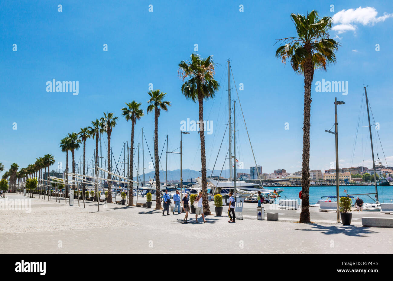 El Muelle Onu, porto di Malaga, Malaga, Costa del Sol, Andalusia, Spagna. Foto Stock