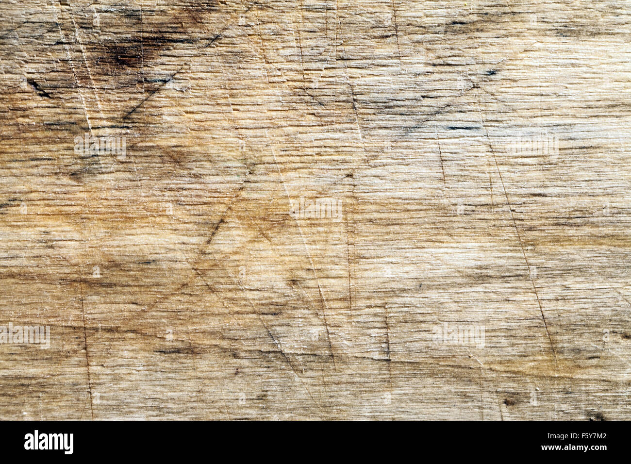 Texture di sfondo legno closeup Foto Stock