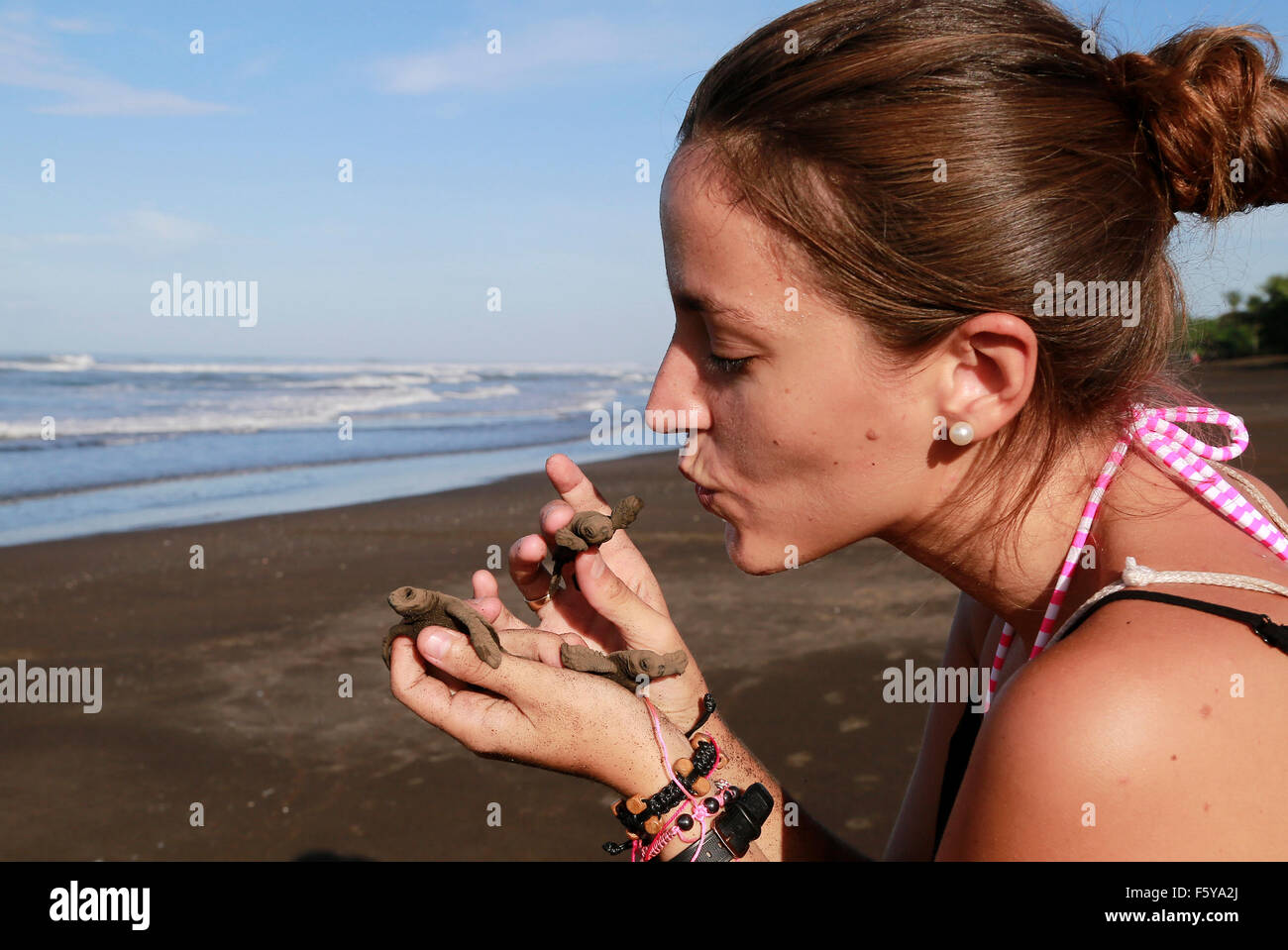 (151110) -- OSTIONAL BEACH, nov. 10, 2015 (Xinhua) -- Immagine presa il 9 novembre 9, 2015 mostra un volontario del Ostional Sviluppo Integrale Association (OIDA) azienda tre recentemente schiuse Olive Ridley tartarughe di mare prima di aiutarli a tornare al mare sulla spiaggia di Ostional, 183 miglia a nord-ovest della capitale San Jose, Costa Rica. Oltre un quarto di milione di Olive Ridley tartarughe di mare aveva lumbered da terra da lunedì mattina al nido a Ostional Beach sulla Costa Rica del nord della costa del Pacifico. Essa è stata il tredicesimo nidificazione di massa di quest'anno e Sabato il numero di arrivi è stata probabilmente la più grande per un cantare Foto Stock