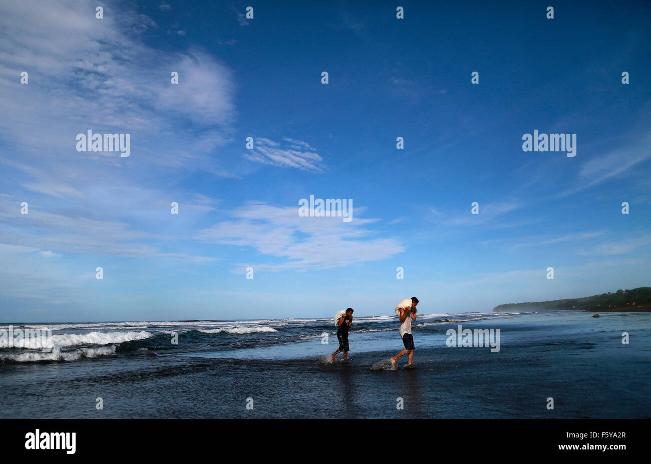 (151110) -- OSTIONAL BEACH, nov. 10, 2015 (Xinhua) -- Immagine presa il 9 novembre 9, 2015 indica i membri dell'Ostional Sviluppo Integrale Association (OIDA) borse e zaini di Olive Ridley sea turtle di uova che hanno lavato nell'oceano sulla Spiaggia Ostional, 183 miglia a nord-ovest della capitale San Jose, Costa Rica. Oltre un quarto di milione di Olive Ridley tartarughe di mare aveva lumbered da terra da lunedì mattina al nido a Ostional Beach sulla Costa Rica del nord della costa del Pacifico. Essa è stata il tredicesimo nidificazione di massa di quest'anno e Sabato il numero di arrivi è stata probabilmente la più grande per un singolo giorno in questi ultimi anni un Foto Stock