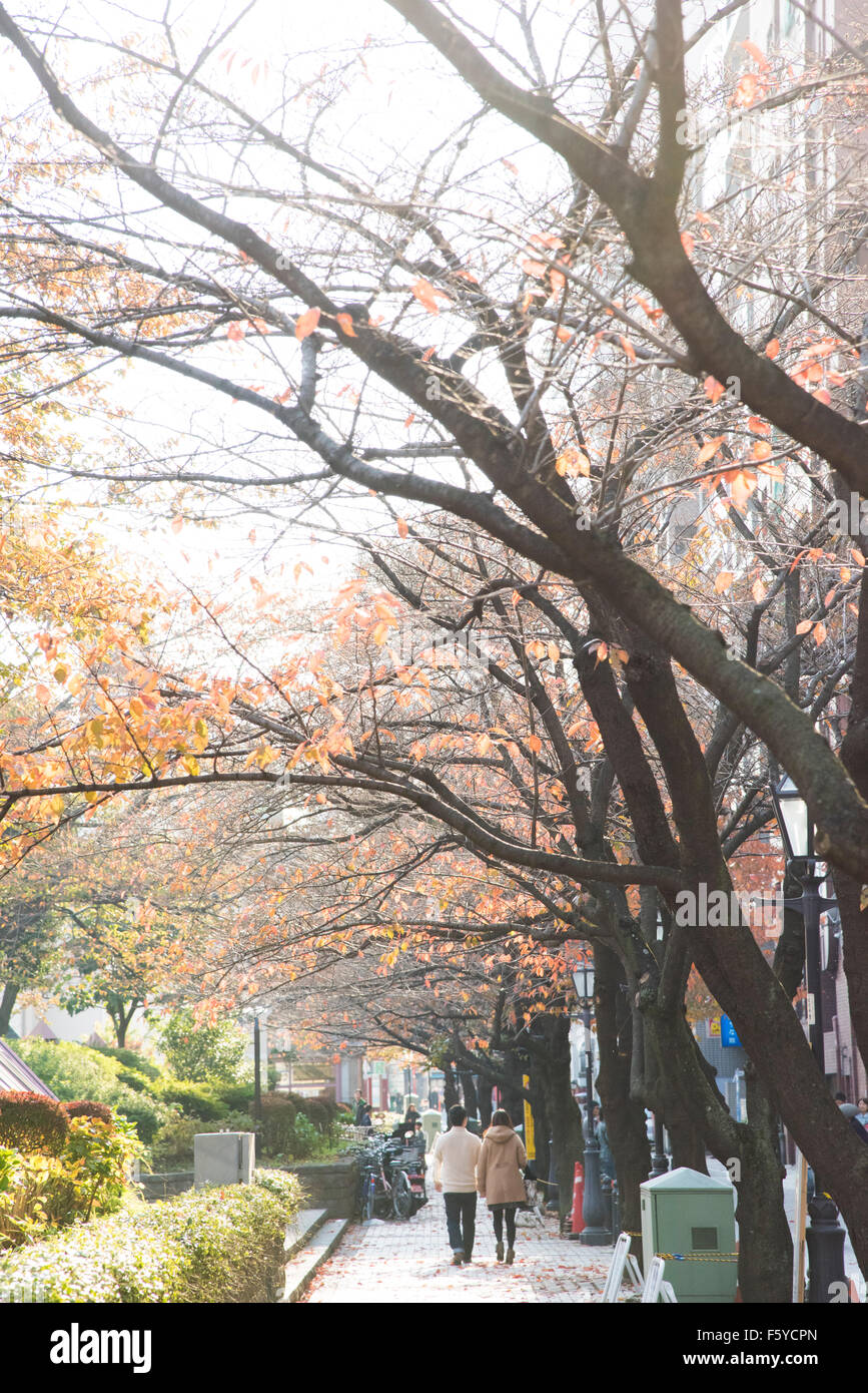 Gli amanti sono a piedi nel colore di autunno,Taito-Ku,Tokyo Giappone Foto Stock