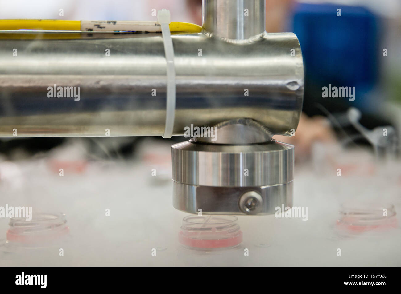 Norimberga, Germania. Decimo Nov, 2015. Un azoto macchina di trasferimento della Vacuum Barrier Corporation che riduce la quantità di ossigeno nel spazio di bottiglie per bevande è visto in stand fieristico della Irish Ardagh Packaging Group alla BrauBeviale 2015 mostra per la produzione e la commercializzazione di birra e di bevande non alcoliche in Nuremberg, Germania, 10 novembre 2015. Circa 1.150 espositori presenteranno i loro prodotti e innovazioni tra il 10 e 12 novembre. Foto: Daniel Karmann/dpa/Alamy Live News Foto Stock