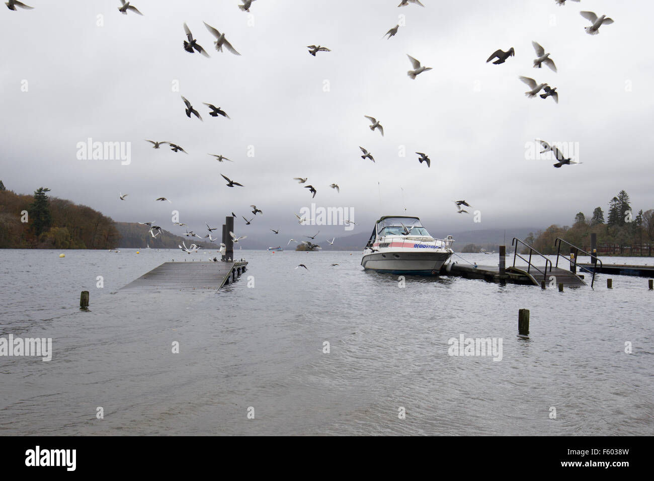 Lago di Windermere Cumbria 10 novembre 2015 UK Meteo pontili sommersi a causa di forte pioggia lasciando alcune barche stranded .mentre le crociere di continuare dal molo principale Il livello dei laghi è previsto in aumento con la corsa di dal circostante fells per i prossimi 2 giorni anche se non vi è più la pioggia Credito: Gordon Shoosmith/Alamy Live News Foto Stock