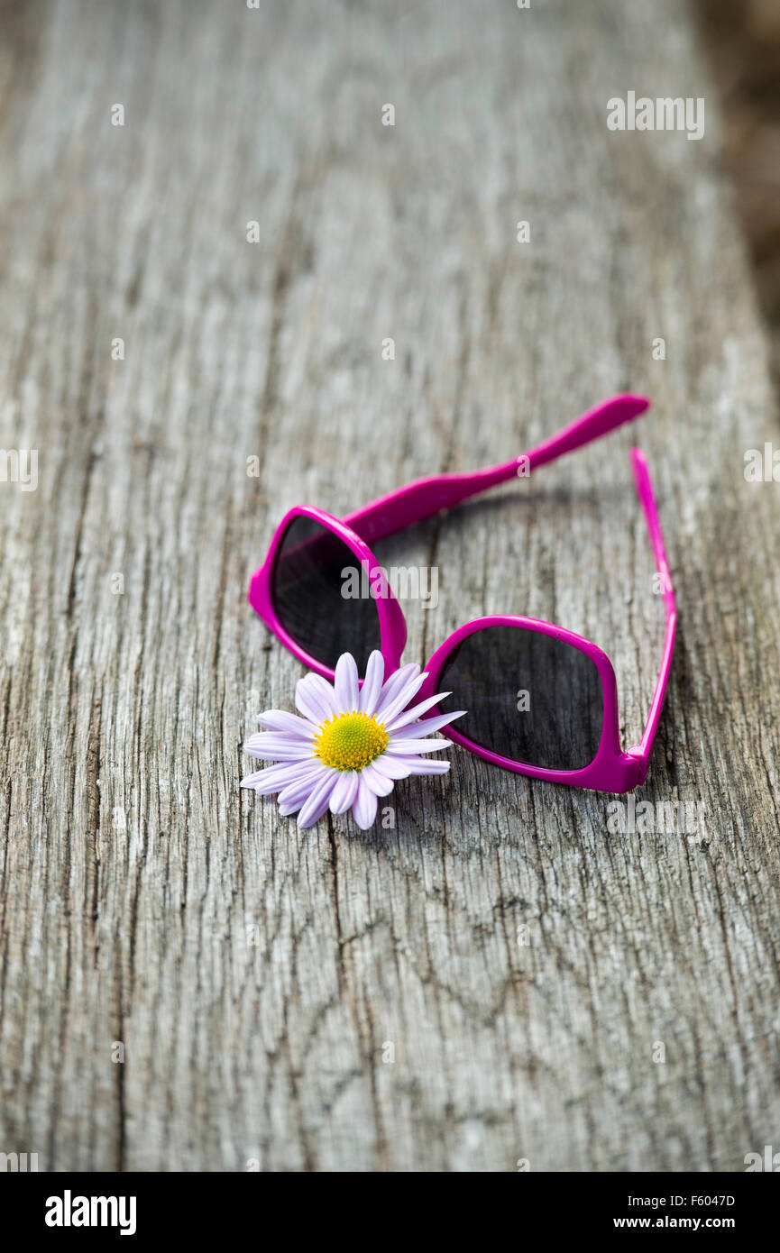 Childs occhiali da sole rosa e crisantemo innocenza fiore su un sedile in legno in un giardino inglese Foto Stock