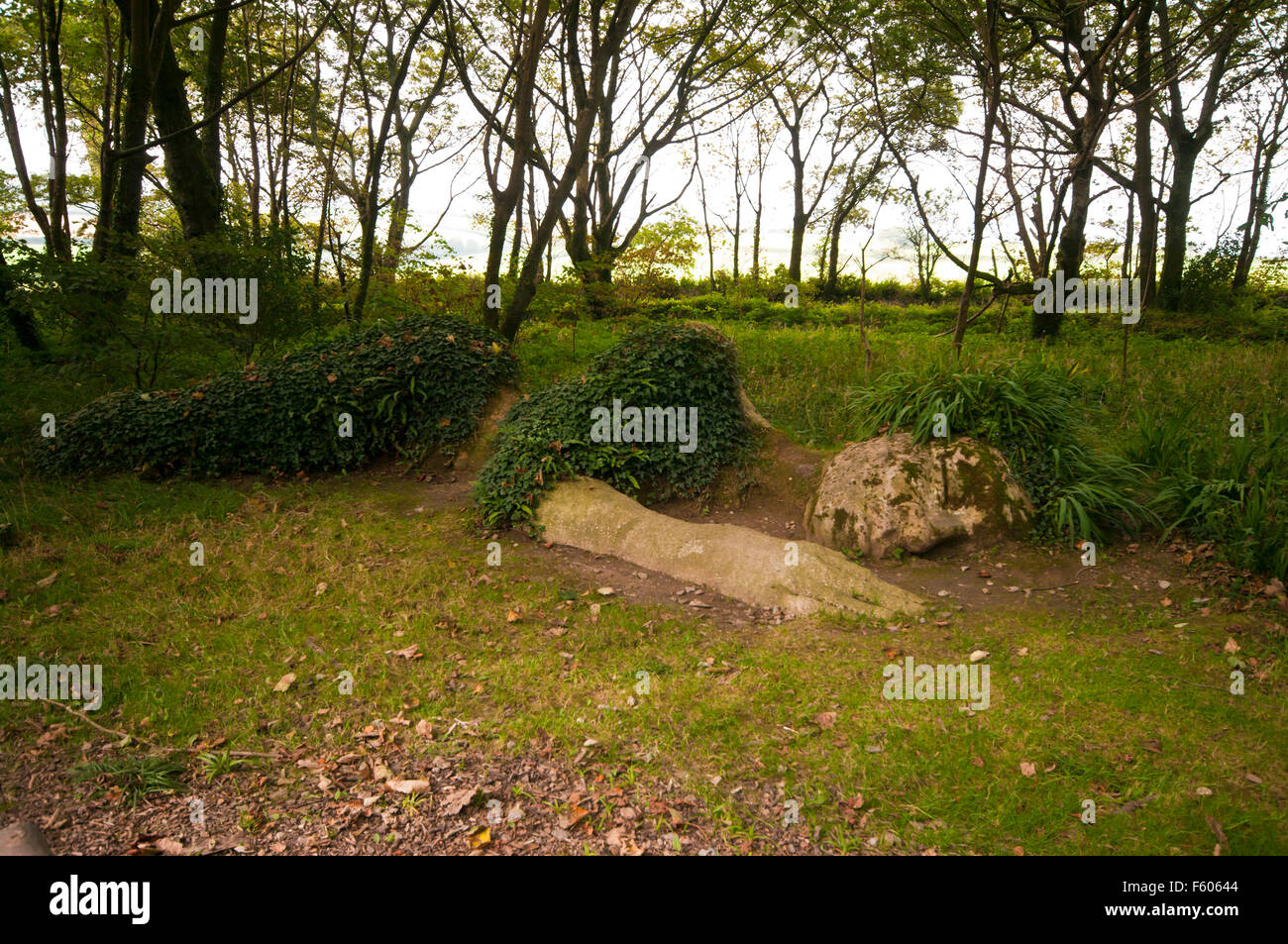 La cameriera di fango sul bosco a piedi al Lost Gardens of Heligan Cornwall Inghilterra REGNO UNITO Foto Stock