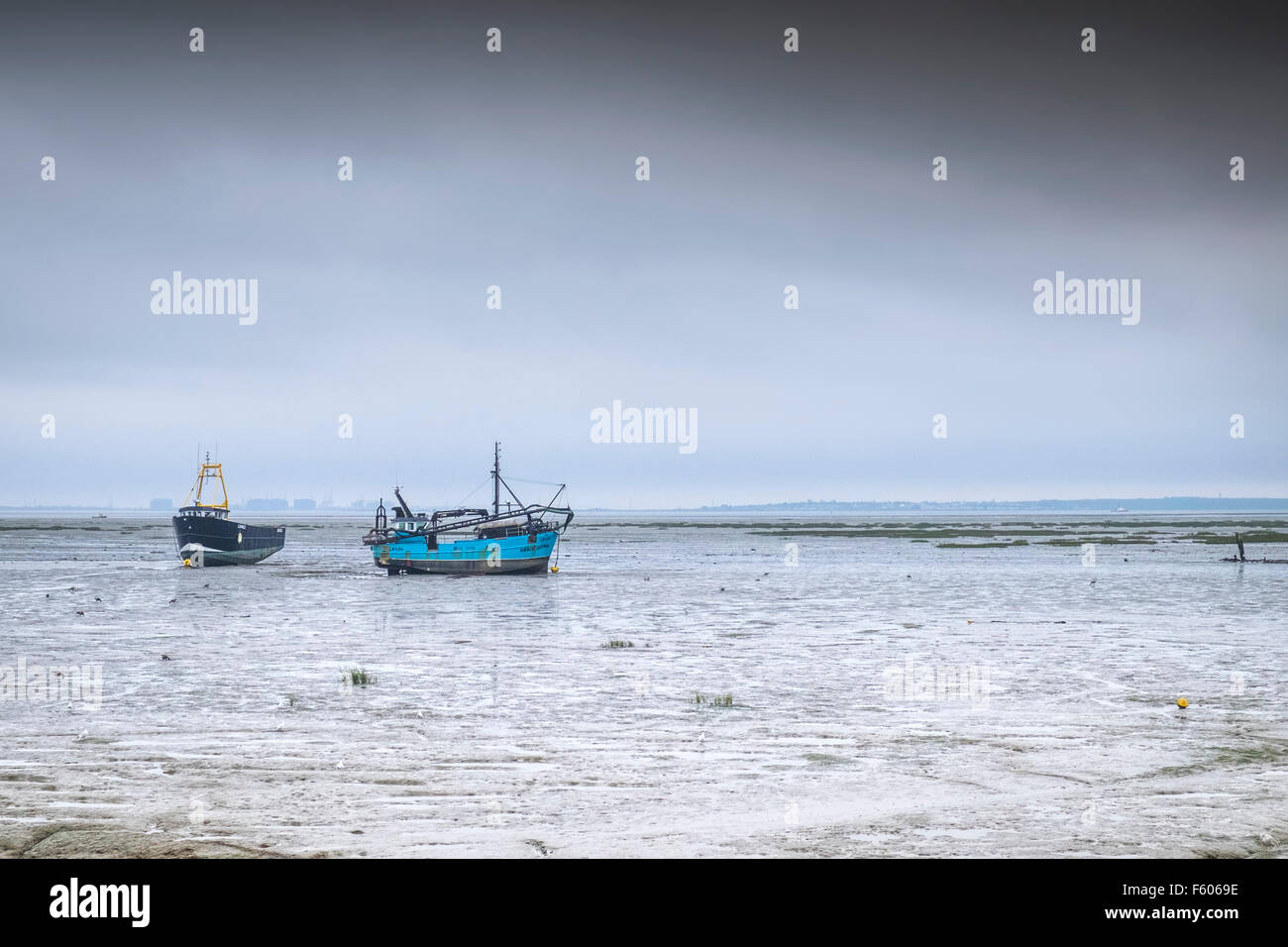 Il Cockle barche ormeggiate sulle velme a Leigh on Sea in Essex. Foto Stock