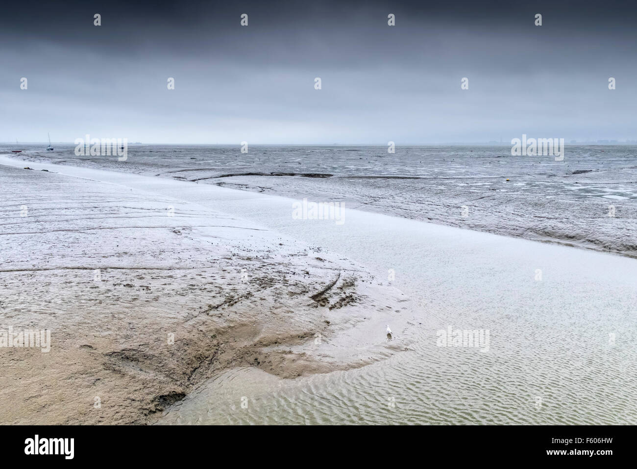 Il desolato velme dell'estuario del Tamigi esposti a bassa marea a Leigh on Sea, Essex. Foto Stock