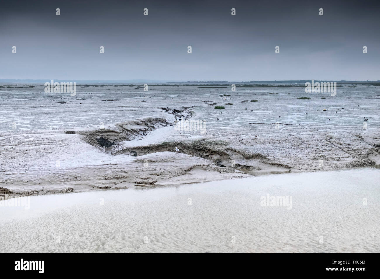 Il desolato velme dell'estuario del Tamigi esposti a bassa marea a Leigh on Sea, Essex. Foto Stock