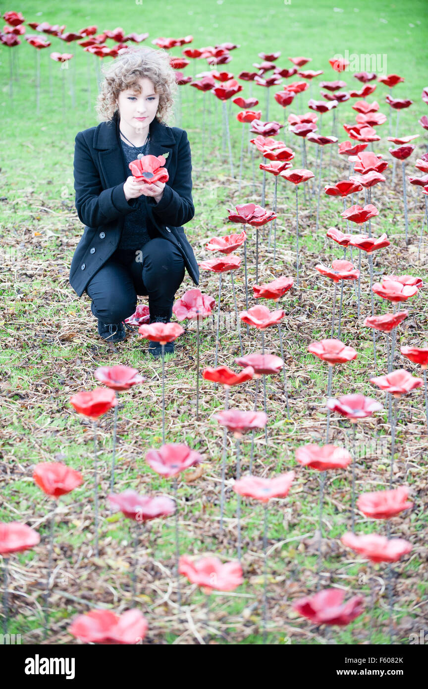 Aldridge, West Midlands, Regno Unito. 10 Novembre, 2015. Gli studenti a Aldridge Scuola, ispirato da ultimo anno di installazione presso la Torre di Londra, creato 600 papaveri di argilla che sono state installate per una legge speciale della Rimembranza Service tenuto presso la scuola frequentata da 91-anno-vecchio veterano Les Reeves. Nella foto è headgirl Josie Durrant Credito: Jane Williams/Alamy Live News Foto Stock