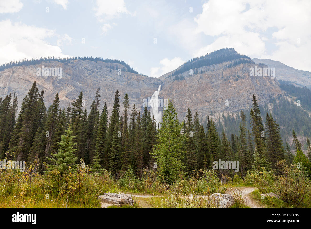 Le Cascate di Takakkaw è una cascata che si trova nel Parco Nazionale di Yoho vicino al campo della Columbia britannica in Canada Foto Stock