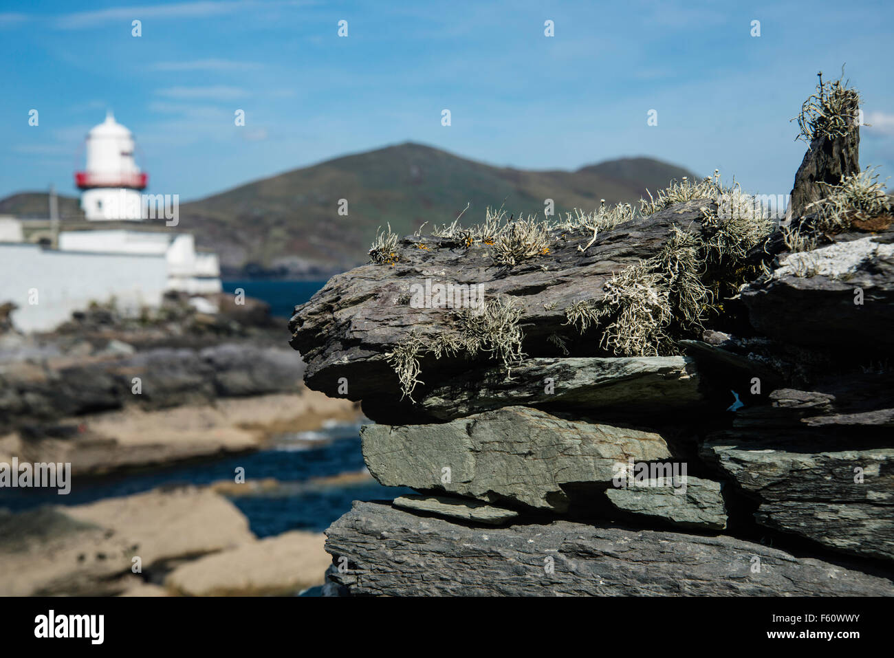 Stalattite parete con il lichen, mostrando Cromwell Point lighthouse in background. Foto Stock