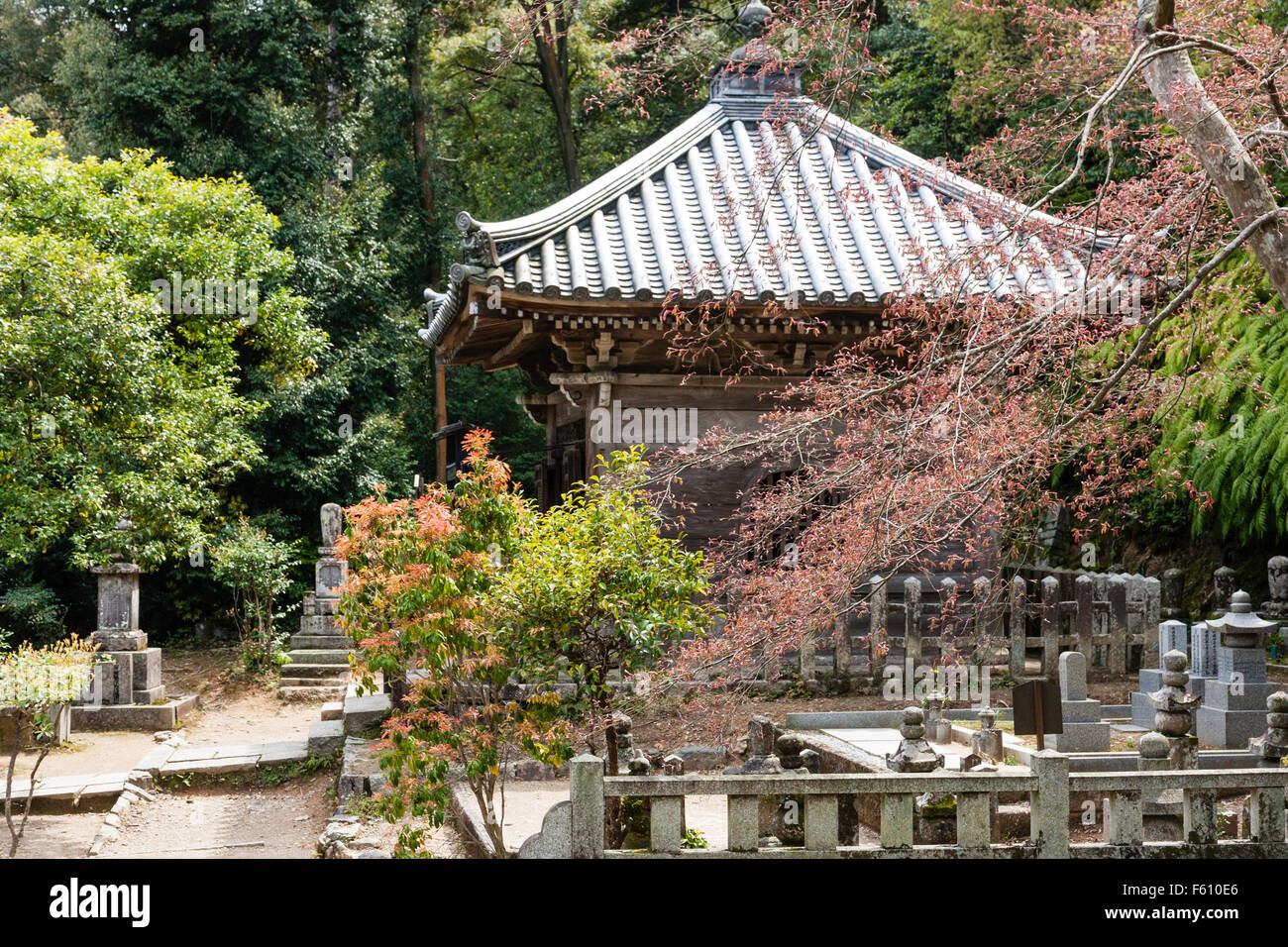 Giappone, Kyoto, Nison-in. Molto lungo il piccolo sub-santuario, in forma di padiglione in legno, con cimitero attorno al bordo della foresta di montagna. Foto Stock