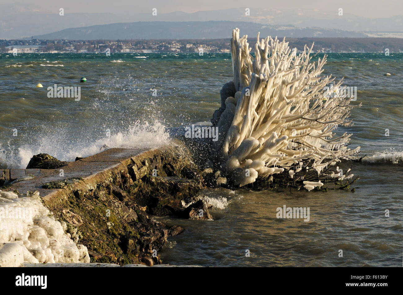 Boccola congelati nel Lago di Ginevra durante il mese di febbraio 2012 Unione ondata di freddo, Nyon, Canton Vaud, Svizzera Foto Stock